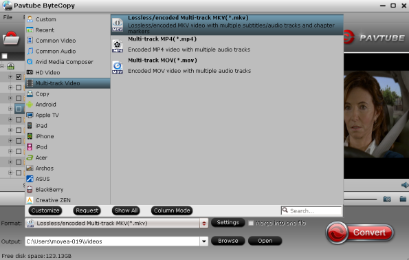 mkv to dvd software free