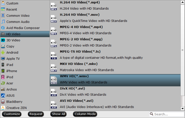 windows media player mkv audio language